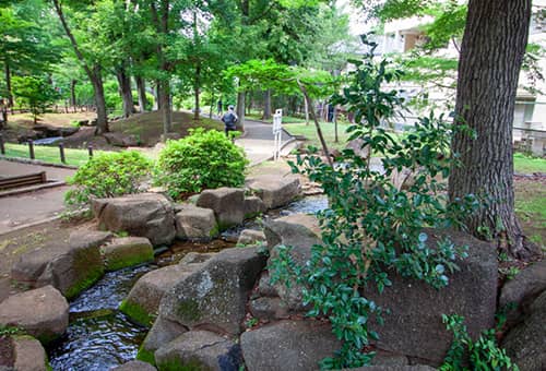 駒沢オリンピック公園