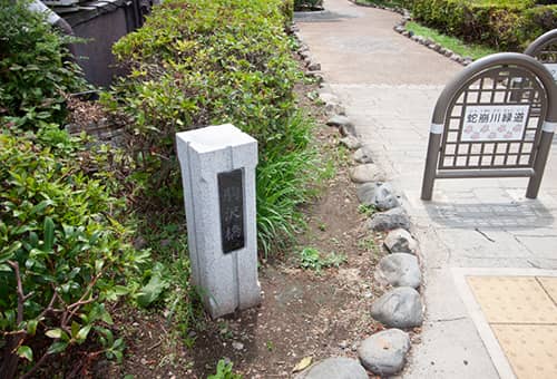 蛇崩川緑道