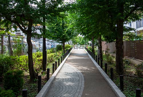 蛇崩川緑道
